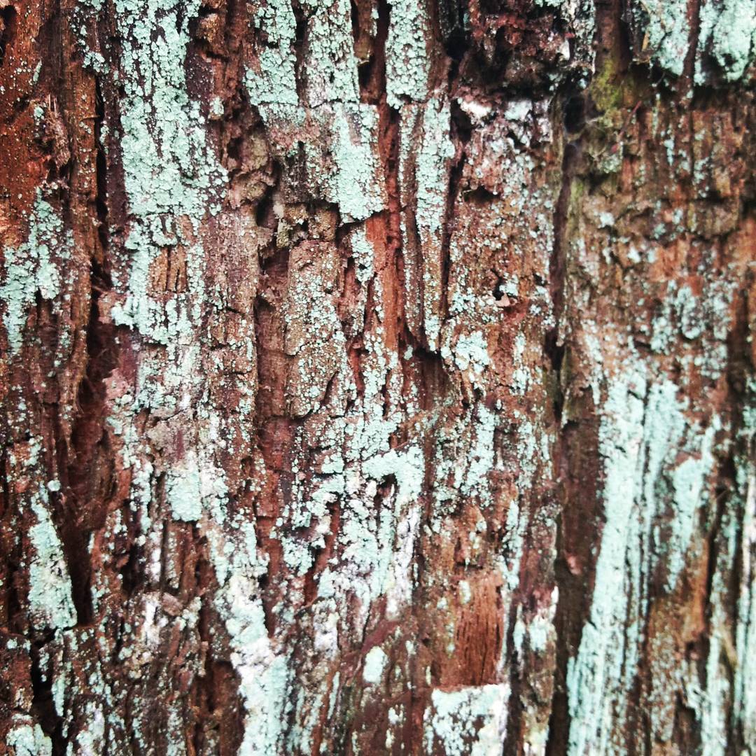 Contrasting Textures