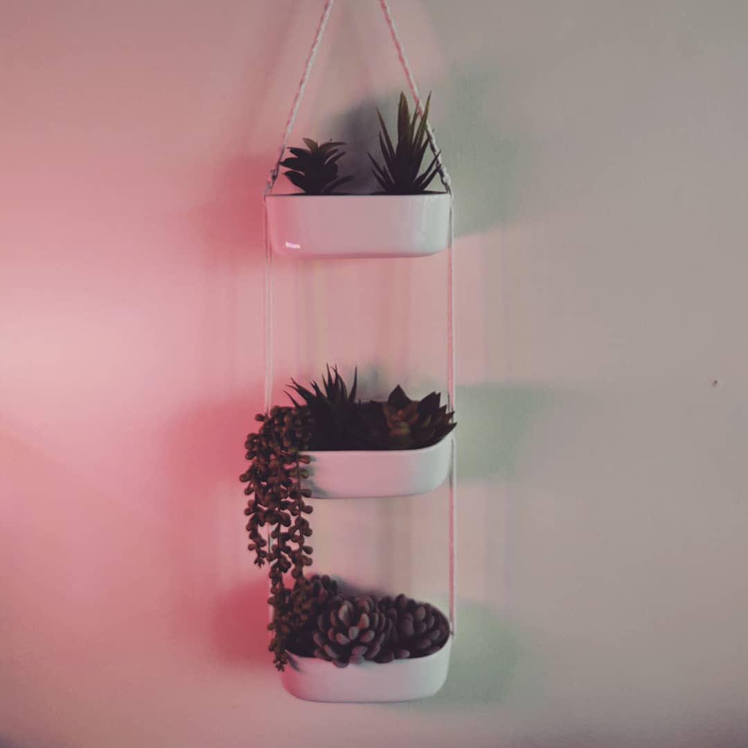Fake Plastic Trees need light too